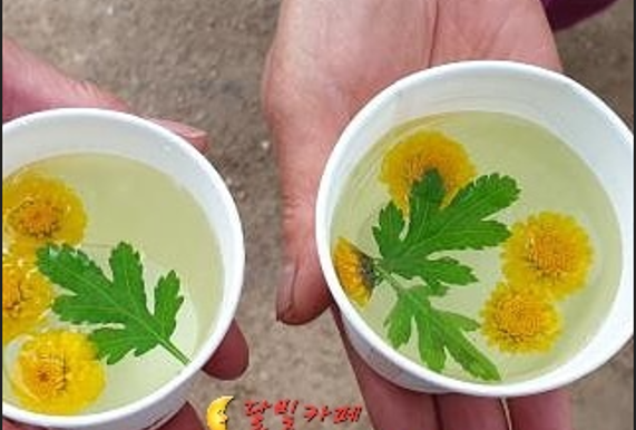 달빛펜션 사진 6