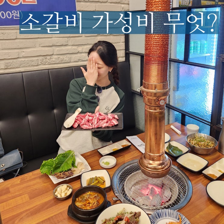  대전 서구 탄방동 소고기 회식 정일품 정육식당
