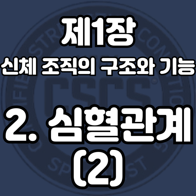  1-3(2) 혈관과 헤모글로빈