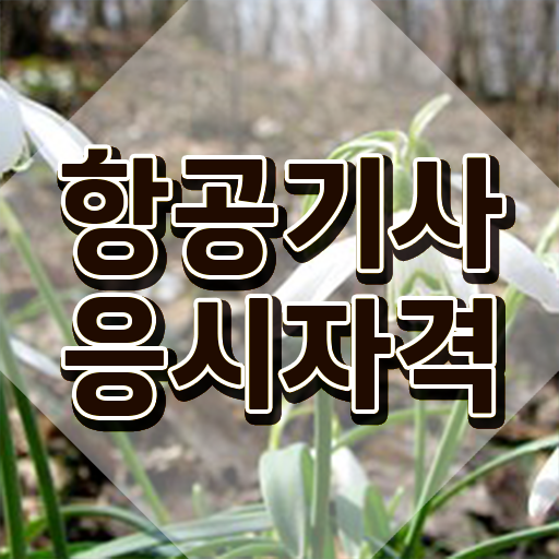  항공기사 응시자격 서류 항공기사 자격요건 온라인으로 간단하게 끝낸 방법