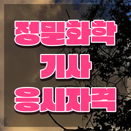  정밀화학기사 필기 과목 정밀화학기사 응시조건 집에서 온라인으로 단기간에 준비한 과정