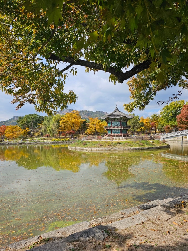  부모님과 서울여행(1) [서울단풍명소/광화문/경복궁/창덕궁/창경궁/광장시장/DDP]