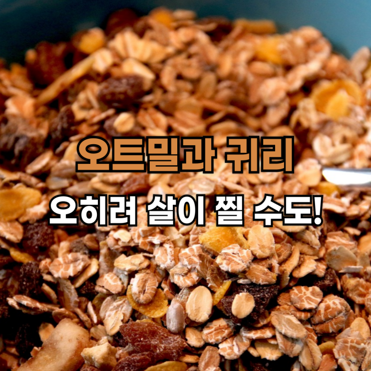  오트밀과 귀리, 다이어트에 도움이 되나요? 제대로 먹지 않으면 오히려 살이 찔 수도!