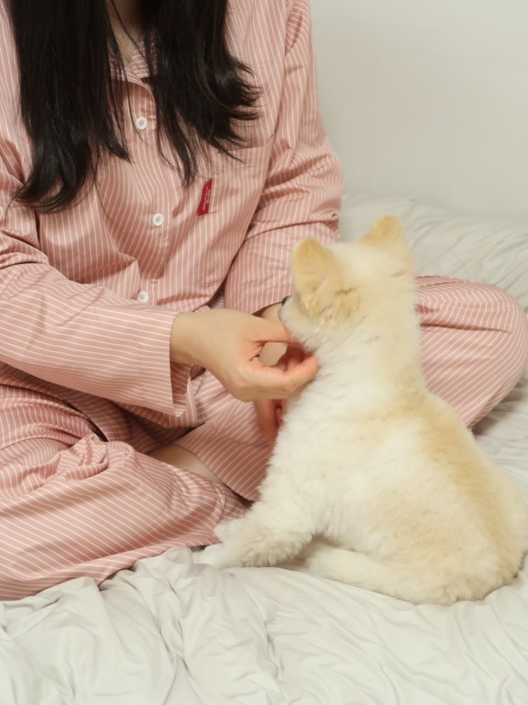  털 안붙는 잠옷 댄스온더플로어 퍼리스 파자마