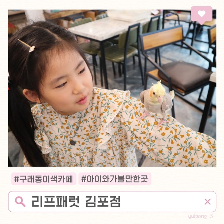  김포키즈카페 리프패럿 김포점