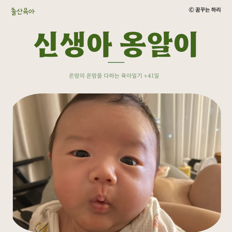  온맘의 온맘을 다하는 육아일기 D+41일 신생아 6주차 수유텀 수면시간 신생아옹알이 옹알이