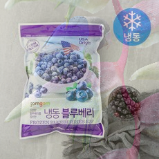 쿠팡 곰곰 냉동 블루베리, 자연의 맛을 담다