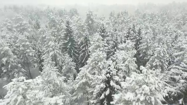  1인크리에이터영상콘텐츠기획자 자격증 , 1인크리에이터영상콘텐츠기획자 자격증 합격한 후기 살펴보기