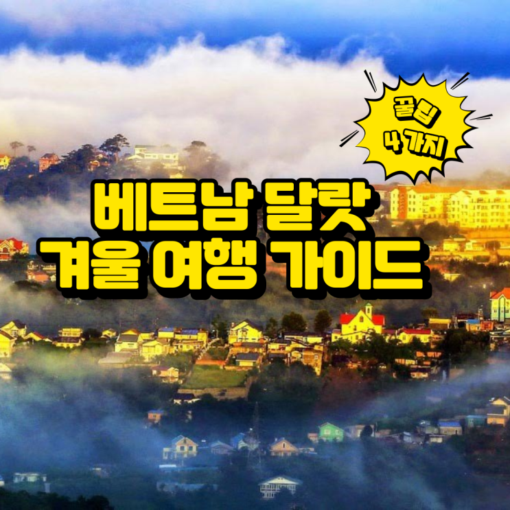  베트남 달랏 겨울 여행 가이드 4가지 꿀팁!