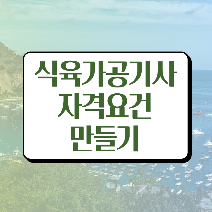  식육가공기사 일정 식육가공기사 응시조건 온라인 과정으로 빠르게 끝낸 전략