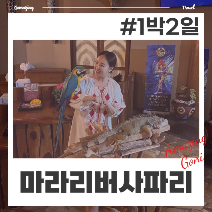 발리 자유여행 추천일정 : 마라리버 사파리 롯지 1박 2일 코스(feat. 와룽레공 예약) 발리 자유여행 추천일정 : 마라리버 사파리 롯지 1박 2일 코스(feat. 와룽레공 예약)