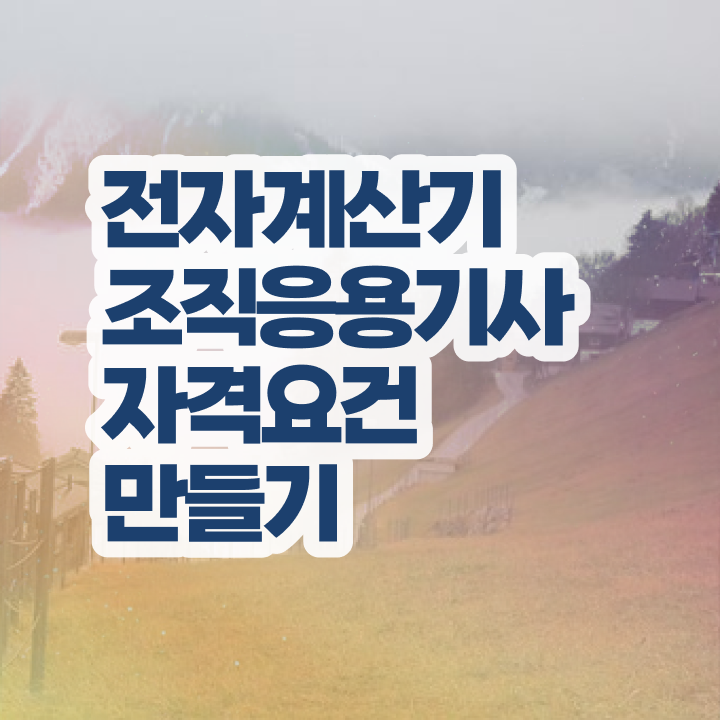  전자계산기조직응용기사 준비기간 전자계산기조직응용기사 응시자격 온라인으로 단기간에 준비한 후기