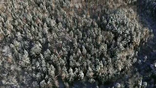  고졸사회복지사학점은행제 , 학점은행제 학사전공 일과 병행하며 쉽게 준비한 방법