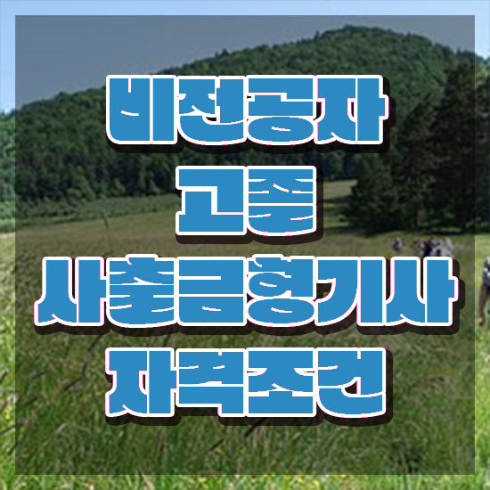  사출금형기사 관련학과 사출금형기사 응시조건 온라인으로 간편하게 완료한 전략