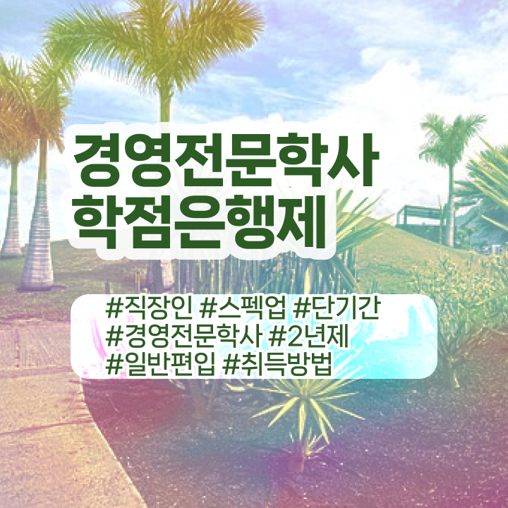  학점은행제 경영학 , 경영학 학위 학은제로 최단기간 준비한 방법