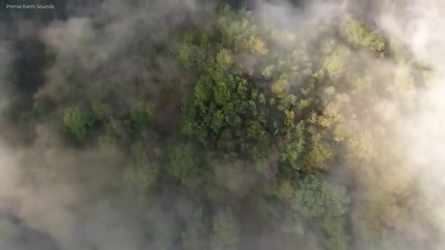  학점은행제컴퓨터공학자격증 , 학점은행제 학사전공 직장인도 쉽게 준비했던 과정