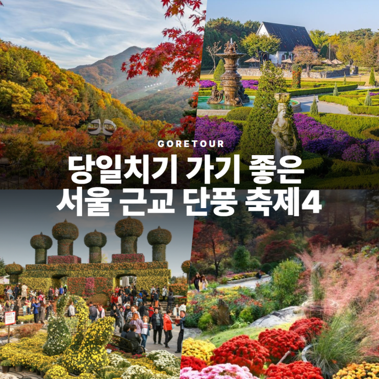  당일치기 가기 좋은 서울 근교 단풍 축제4