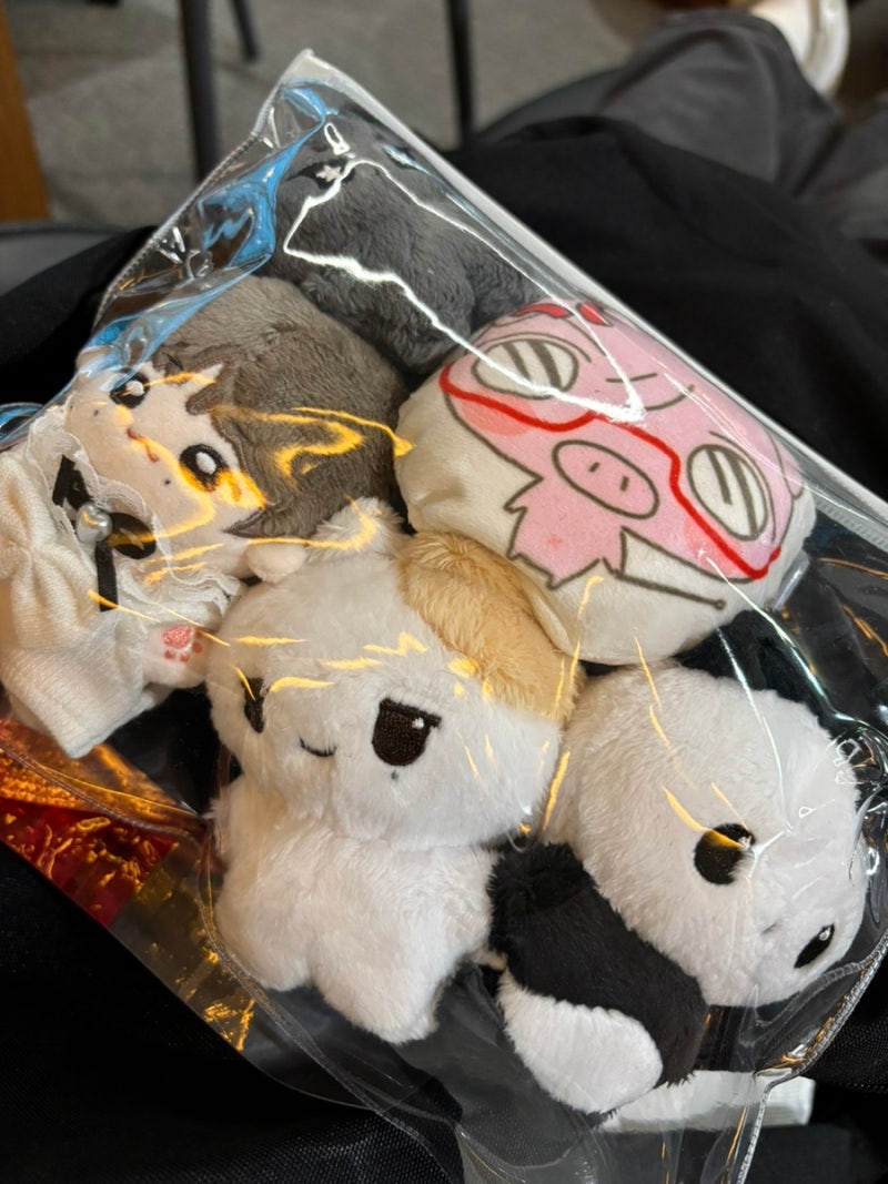 NCT WISH 아시아 투어 LOG in JAPAN」 이시카와 첫콘 후기 with 후쿠이 여행 : 네이버 블로그