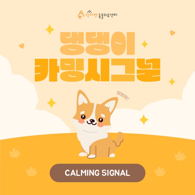  하품하는 강아지의 심리가 궁금해요. 댕댕이 카밍시그널