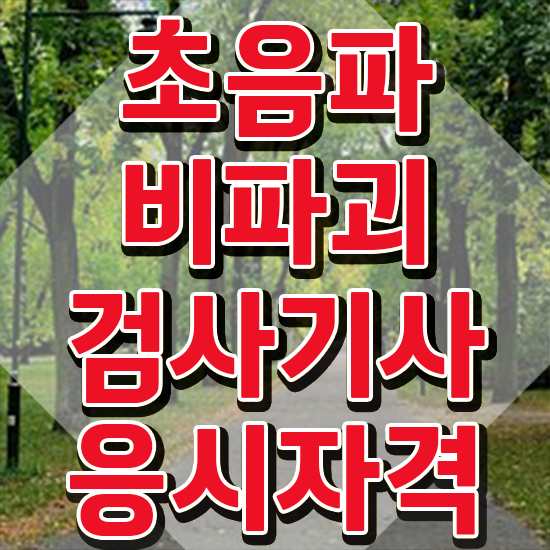  초음파비파괴검사기사 자격 초음파비파괴검사기사 응시조건 인강만 듣고 단기간에 성공한 전략