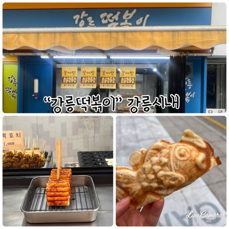  “강릉떡볶이” 강릉시내간식, 겨울간식인 붕어빵 사먹기