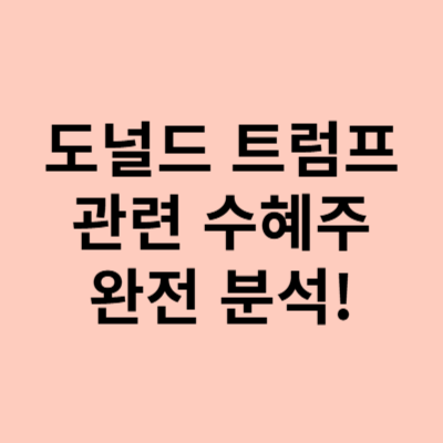  트럼프 관련주, 트럼프 전 대통령 재선 성공?