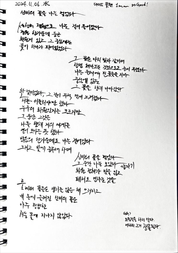  [필사] 신비의 꽃을 나는 꺾었다-류시화