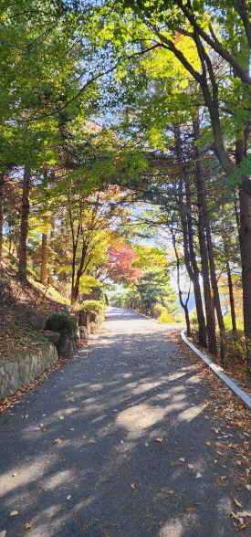 김수환추기경님 참배 후, 국민배우 고 김수미 님 추모 헛걸음