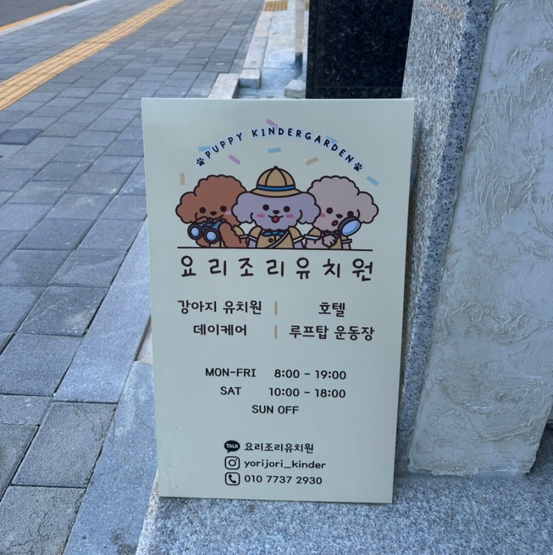 사진 3