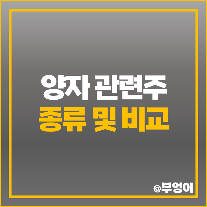 양자컴퓨터 관련주 양자 기술 주식 쏠리드 드림시큐리티 주가 양자컴퓨터 관련주 양자 기술 주식 쏠리드 드림시큐리티 주가