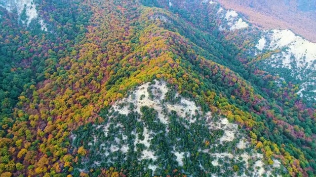  보육원 자원봉사 , 자원봉사지도사 자격증 20일 만에 취득한 정보 , 활용 방법