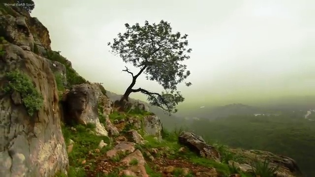  사회복지 공무원 공부 , 사회복지사2급 고졸도 독학으로 빠르게
