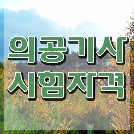  의공기사 취업 의공기사 시험자격 집에서 온라인으로 간단하게 성공한 비법