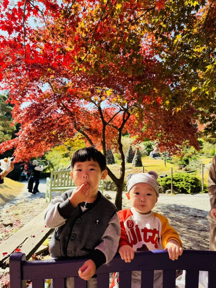  12개월 아기랑 가볼만한곳 가평 아침고요수목원 서울 근교 나들이 유모차 휠체어 대여가능 키즈 자동차 카페 엠블럭