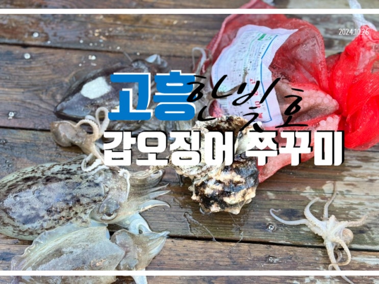  고흥 갑오징어 쭈꾸미 문어 선상낚시 with 녹동 한빛호