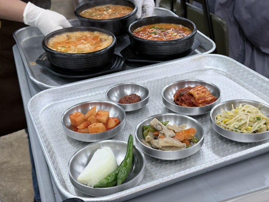 다모들 사진 6