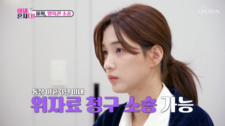 이제 혼자다 <b>율희</b> 심경고백 위자료 양육권 소송 쉽지 않다?