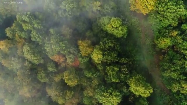  부동산경매컨설팅 , 부동산권리분석사 공부한 방법 및 온라인 무료강의