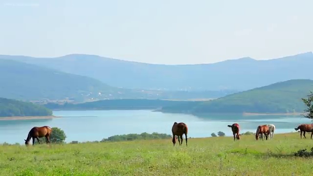  부부심리상담사 , 부부심리상담사 자격증 직장인도 쉽게 합격한 전략 및 무료수강 혜택