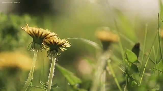  학점은행 편입 , 학점은행제 전문멘토가 비용부담 절감 기간 단축 후기 보고싶다면