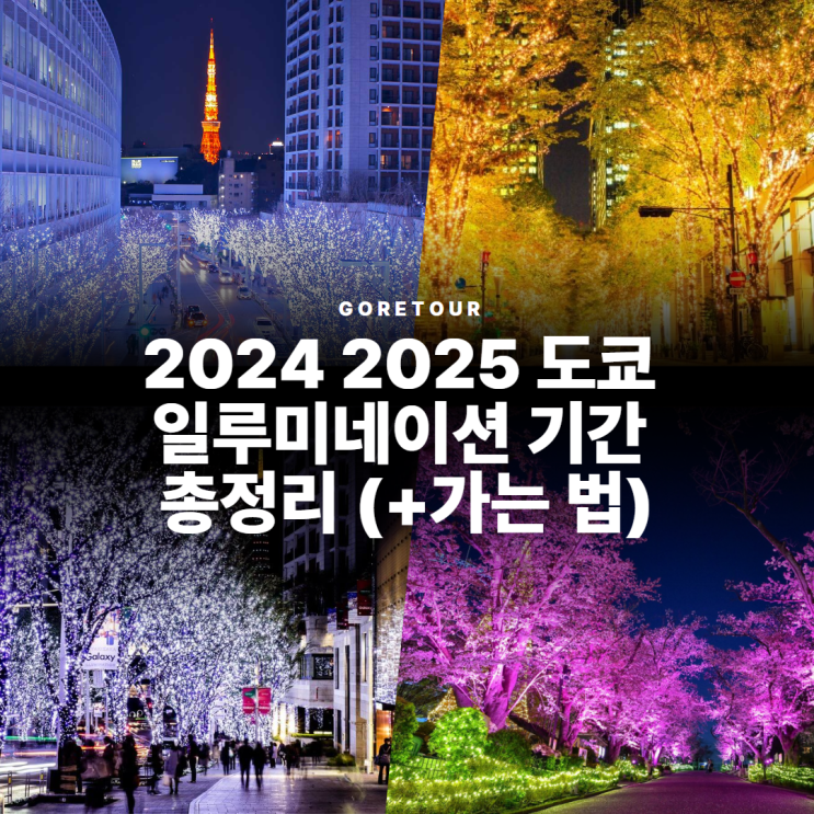  2024 2025 도쿄 일루미네이션 기간 총정리 (+가는 법)