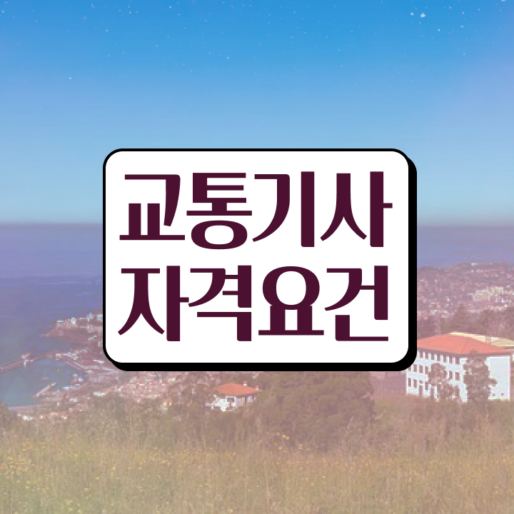  교통기사 취업 교통기사 취득자격 집에서 온라인으로 쉽고 빠르게 완료한 방법