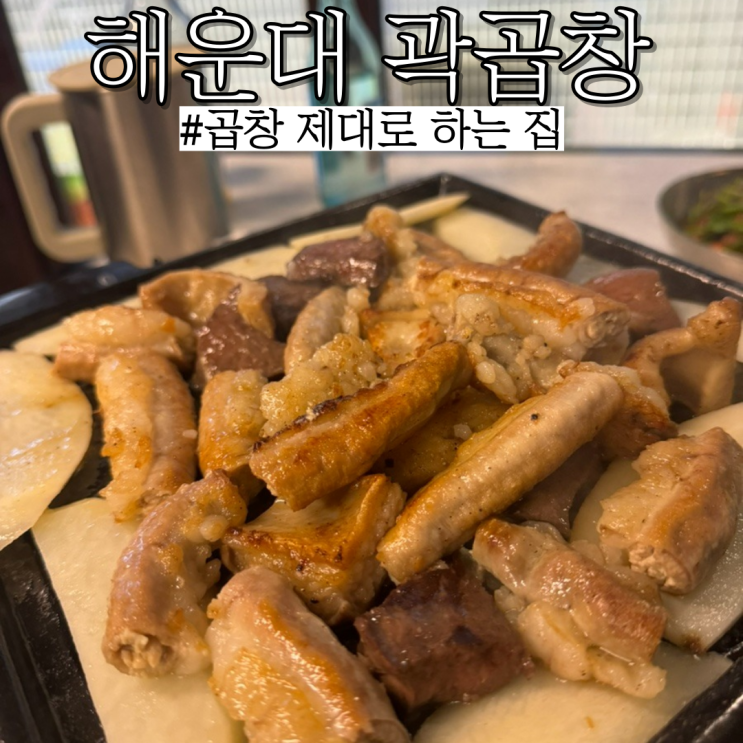  해운대곱창맛집 : 곱이 꽉차고 술맛 제대로 나는 해운대술집 "곽곱창"
