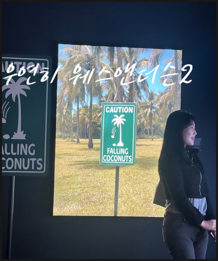  서울 전시회 추천 우연히 웨스 앤더슨 2 전시회 관람기