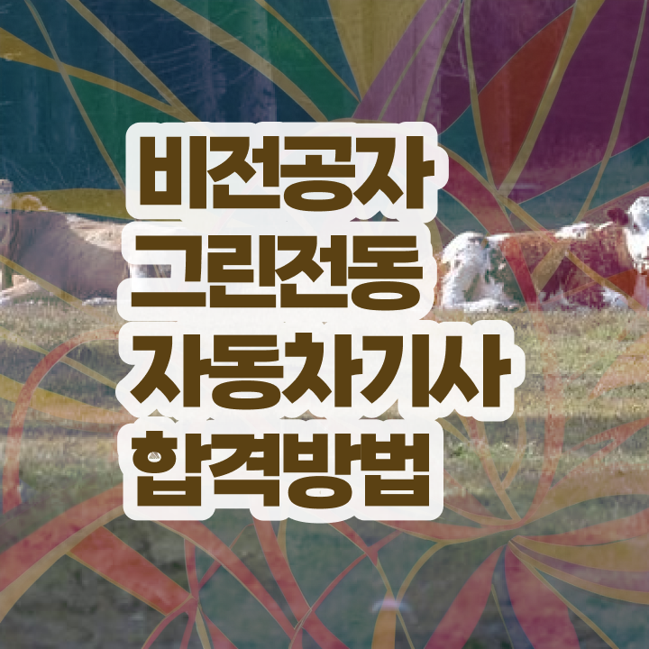  그린전동자동차기사 자격증 필기 과목 , 그린전동자동차기사자격증 취득 정보 및 인기있는 이유