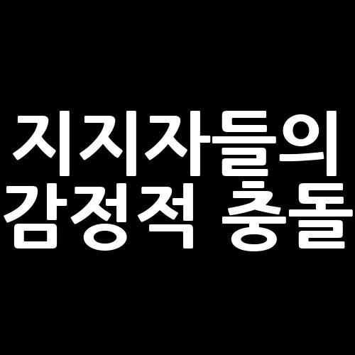 <b>지지자들</b>의 감정적 충돌, 버지니아의 <b>해리스</b> 대 트럼프