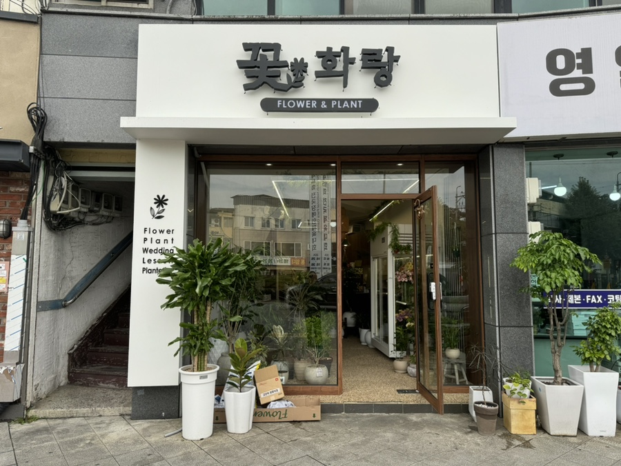 꽃화랑 사진 1