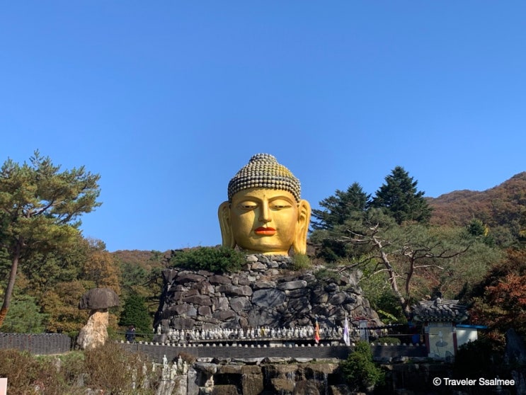  용인 단풍 여행 가볼 만한 곳 와우정사 와불 입장료 주차