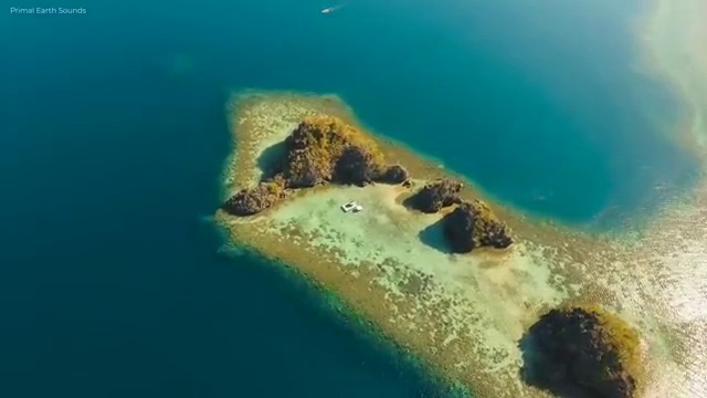  부산 병원코디네이터 자격증 , 병원코디네이터 자격증 독학으로 취득한 정보 및 이후 전망