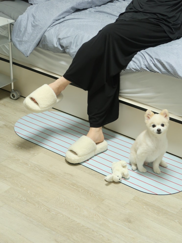  아푸푸하우스 규조토 발매트 물세탁러그